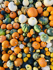 Image showing Pile of pumpkins