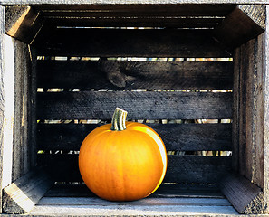 Image showing Orange pumpkns in wooden crates