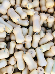 Image showing Pile of pumpkins