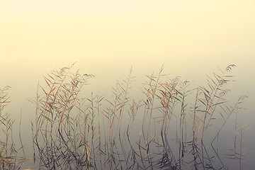 Image showing Fog on the lakeside