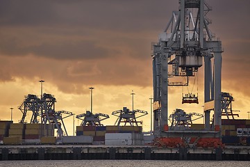 Image showing Container Dock in Rotterdam