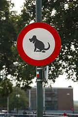 Image showing Dogs sign in park