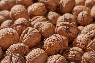 Image showing Walnuts in a pile