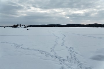 Image showing Frozen lake landscape
