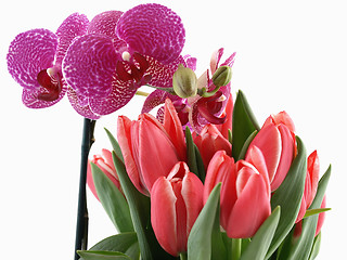 Image showing Orchid and Tulips Bouquet