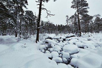 Image showing Winter Snowy Landscape