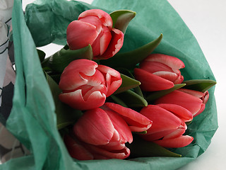 Image showing Wrapped Pink Tulips