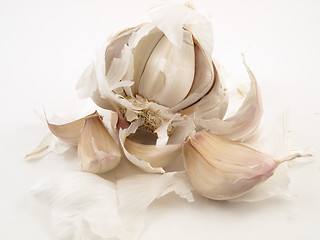 Image showing Open Clove of Garlic
