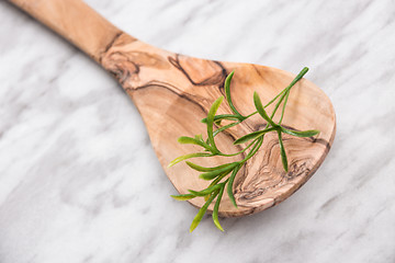 Image showing Wooden spoon with fake artificial green herbs