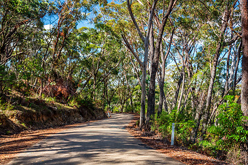 Image showing Curving road through Australian bushland