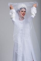 Image showing young bride in a wedding dress with a veil