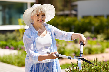 Image showing senior gardener with hedge trimmer at garden