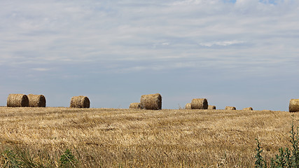 Image showing Hay Bale