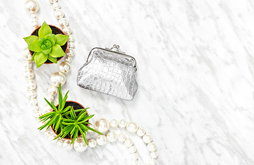 Image showing Silver purse, succulent plants and pearl necklace