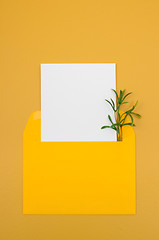 Image showing Bright yellow envelope with blank white card
