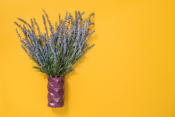 Image showing Blue lavender in a vase on yellow background