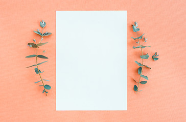 Image showing Blank paper and eucalyptus on peach canvas background