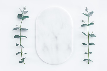 Image showing Marble plate framed by eucalyptus branches