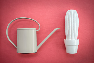 Image showing Watering can and white ceramic cactus