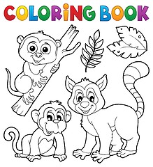 Image showing Coloring book primates and monkey