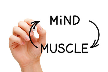 Image showing Mind Muscle Connection Concept