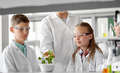 Image showing students and teacher with plant at biology class