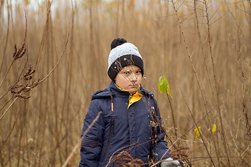 Image showing Boy was lost in the forest. Little boy lost his way in the fores