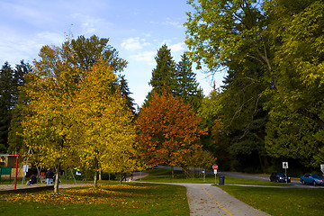 Image showing fall scene