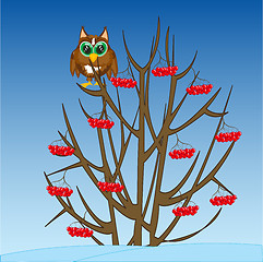Image showing Winter tree with fruit and owl on branch