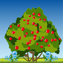 Image showing Year glade and bush with berry.Vector illustration