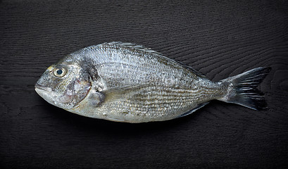 Image showing raw sea bream