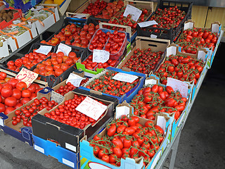 Image showing Italian Tomato