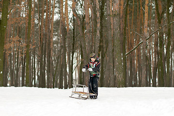 Image showing Boy with His Sled sleigh