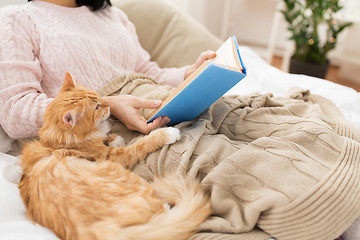 Image showing red cat and female owner reading book at home