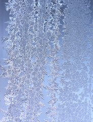 Image showing Hoarfrost