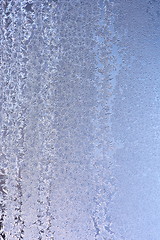 Image showing Hoarfrost