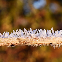 Image showing Rime