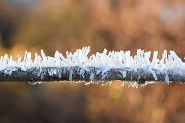 Image showing Rime