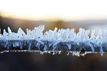 Image showing Rime