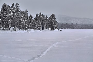 Image showing Winter Snowy Landscape