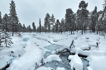 Image showing Winter Snowy Landscape