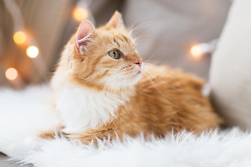 Image showing red tabby cat on sofa with sheepskin at home