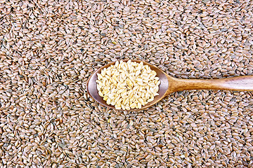 Image showing Linen seeds white in spoon