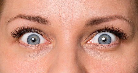 Image showing Face woman with eyes and eyelashes