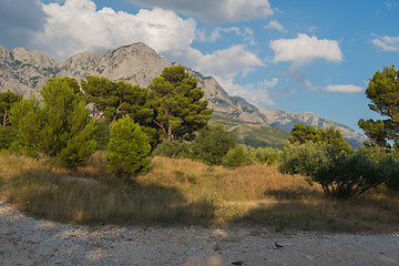 Image showing Biokovo mountain nature park and trees from Makarska Riviera, Dalmatia