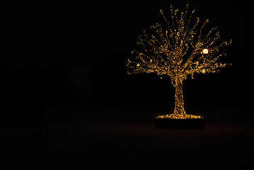 Image showing Gold lights Christmas Tree