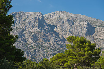 Image showing Biokovo mountain nature park and trees from Makarska Riviera, Dalmatia