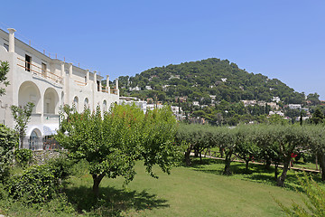 Image showing Garden in Capri