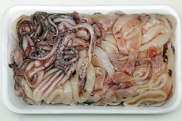 Image showing Frozen Squid