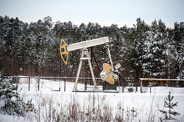 Image showing Pump jack situated in forest.